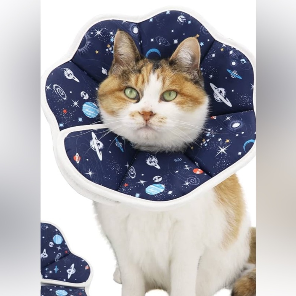 Pet soft collar